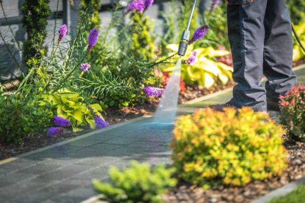Reliable New Baltimore, OH Pressure Washing Services Solutions