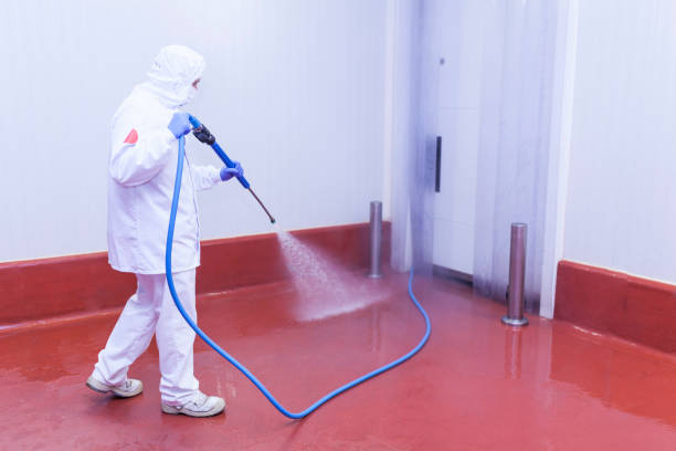 Best Winterizing Services  in New Baltimore, OH